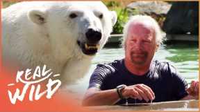 The Polar Bear And Man Who Are Best Friends | Animal Odd Couples | Real Wild