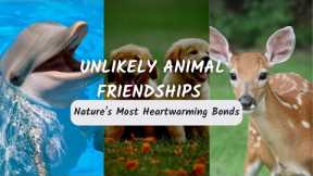 Unlikely Animal Friendships: Nature's Most Heartwarming Bonds