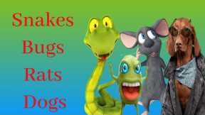 Snakes, Rats, Bugs, and Dogs - Identifying Red Flags in Friendships