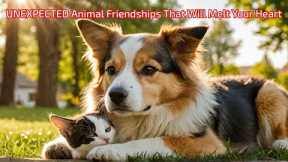 UNEXPECTED Animal Friendships That Will Melt Your Heart!