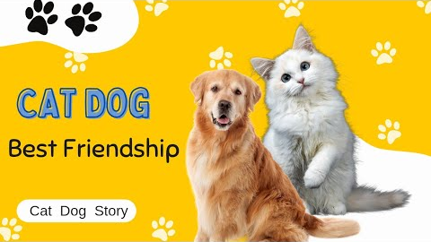 Unlikely Best Friends: A Heartwarming Tale of Courage, Love, and Friendship Between a Cat and a Dog