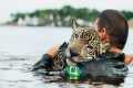 12 Times Humans Rescued Animals, And