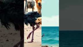 Unlikely Animal Friendships: Bonds Beyond Species!  #animalshorts #facts #wildliferescue #animals