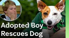 Adopted Boy Finds His Perfect Rescue Dog | The Dog House 🐶 | Dog Stories