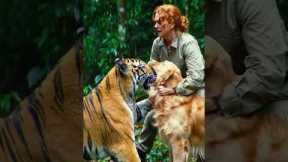 Dog and Tiger Play Like Best Friends! Owner Joins the Fun 🐶🐯❤️