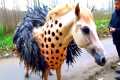 20 Strange Animals Found In The