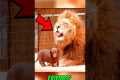 You Won’t Believe These Animal