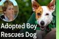 Adopted Boy Finds His Perfect Rescue