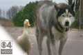 The Unlikely Friendship Of Max And