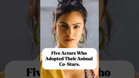 5 actors who adopted their animal co-stars#us#usa #famous#fyp#hollywood#actor#celebrity#celebrities
