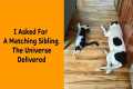 50 Times Animals Proved True