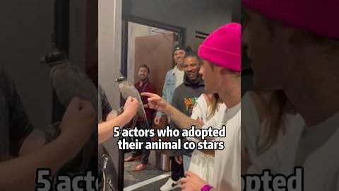 5 actors who adopted their animal co stars #celebrity #shortvideo