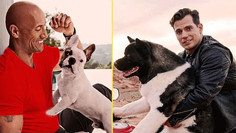Famous Celebrities and Their Adorable Pets | Stars Who Love Animals
