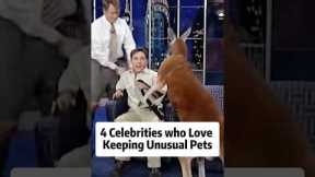 4 Celebrities who Love Keeping Unusual Pets.#actors #celebrities #hollywood #usa #foryou