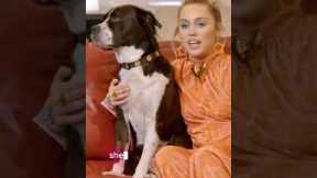 Celebrities and Their Animal Besties