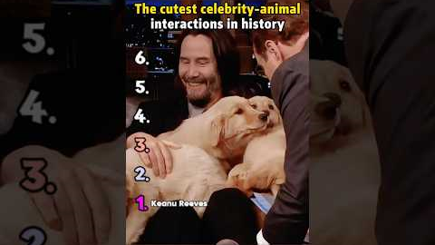 The cutest celebrity-animal interactions in history. #KeanuReeves #ChrisEvans #JackieChan #Zendaya