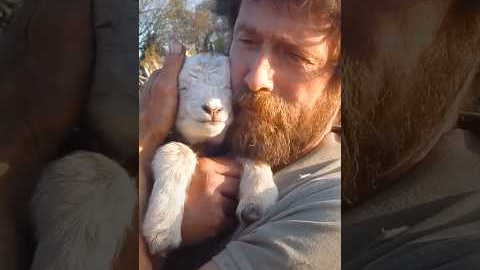 Animals teach us love ❤️