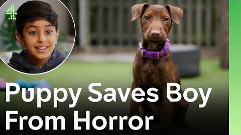 Adorable Rescue Puppy Loves Boy More Than Anything  | The Dog House 🐶