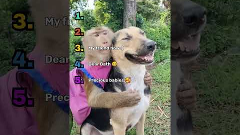 CUTEST Animal Friendships EVER!!