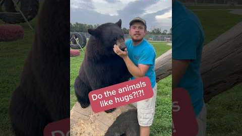 Which of the animals like hugs? #animalsofyoutube #animals #awesomeanimals