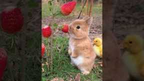 Nature's Beautiful Animal Evolution 2 #animaljourney #animaltransformation #beautifulnature