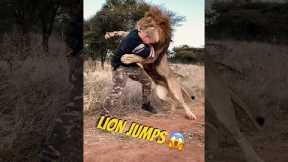 LIONS LOVE DIFFERENTLY 🦁❤️