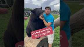 Which of the animals like hugs? #animalsofyoutube #animals #awesomeanimals