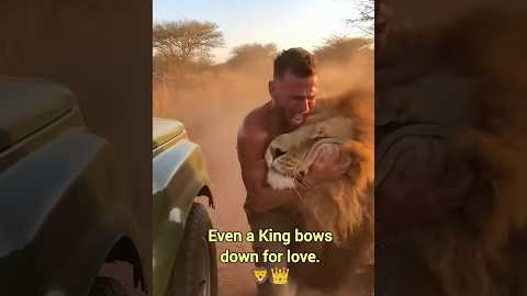 When Wild Animals See Their Best Friends Again