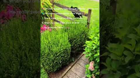 Unlikely Animal Friendships & Hilarious Interactions 😻