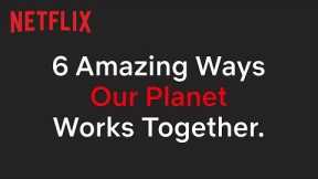 Unlikely Animal Friendships in Our Planet | Netflix