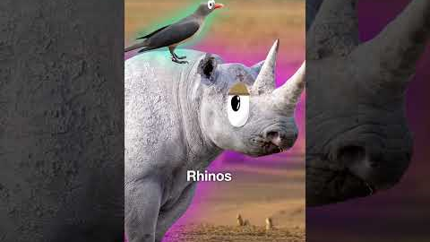 Animal That Are Secretly Best Friend😍 #shorts #facts