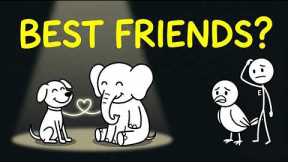 Do Animals Have Best Friends?