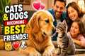 Cats and Dogs Becoming Best Friends